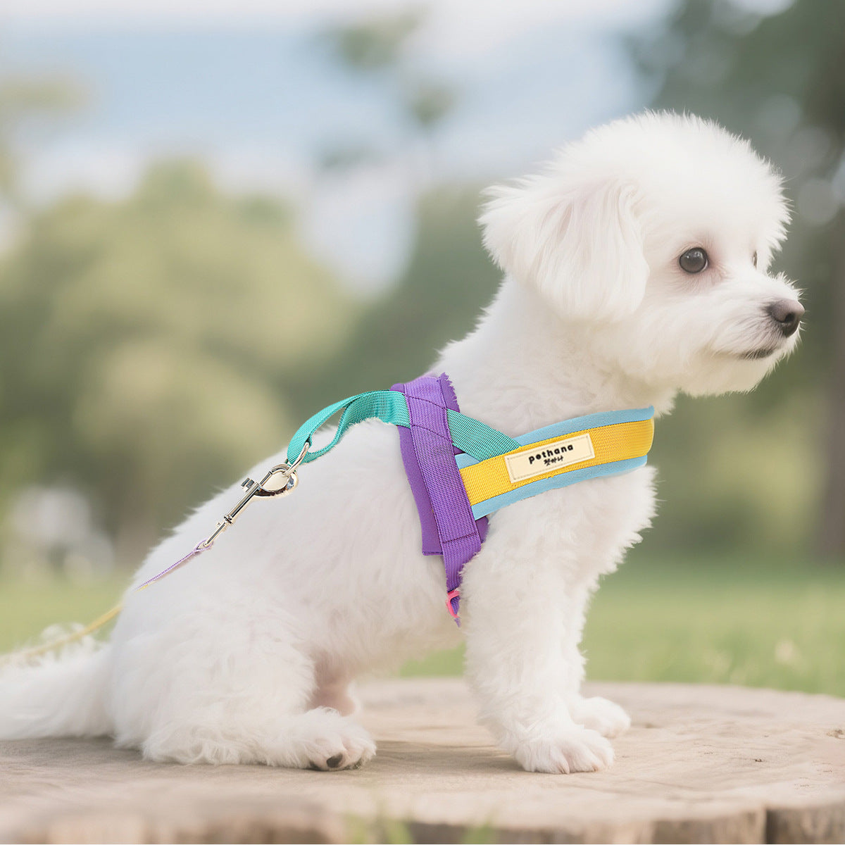 PETHANA Pet Harness
