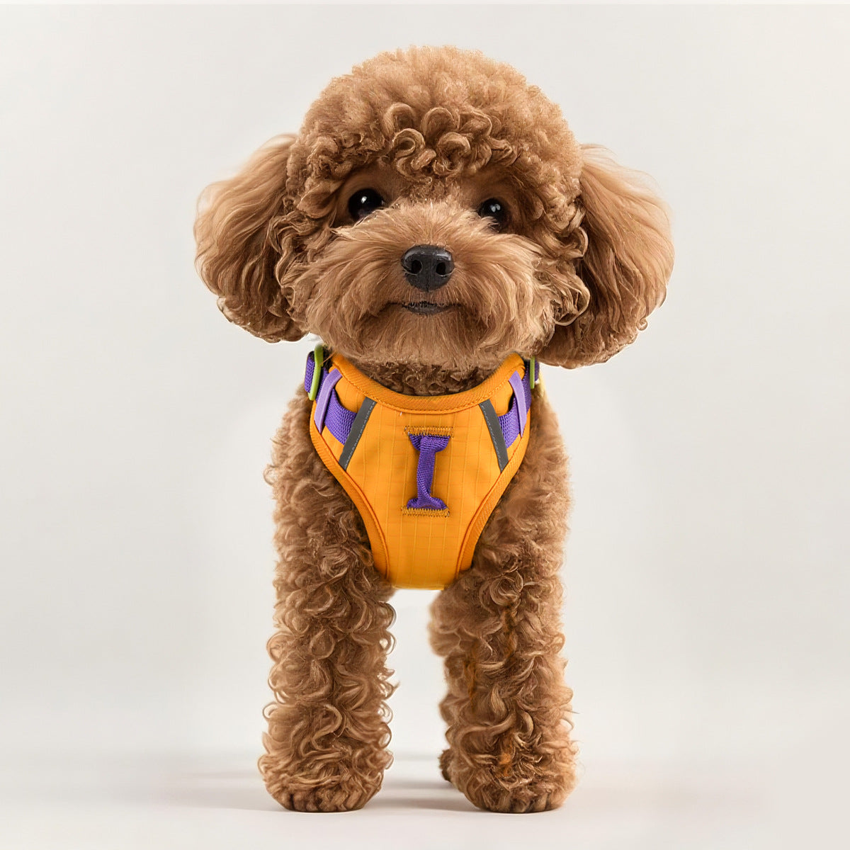 PETHANA Pet Vest