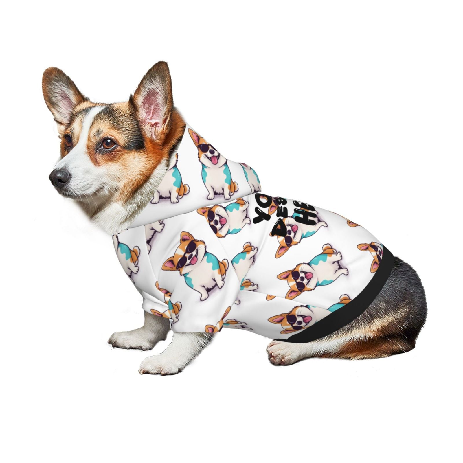 Personalized Matching Hoodies