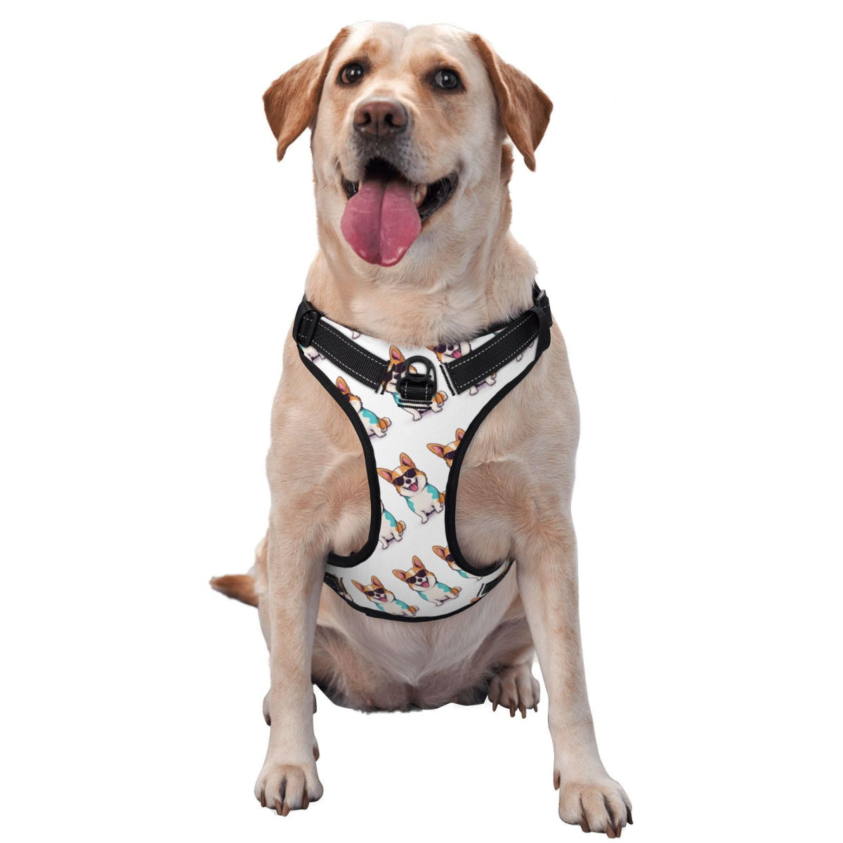 Pet Harness