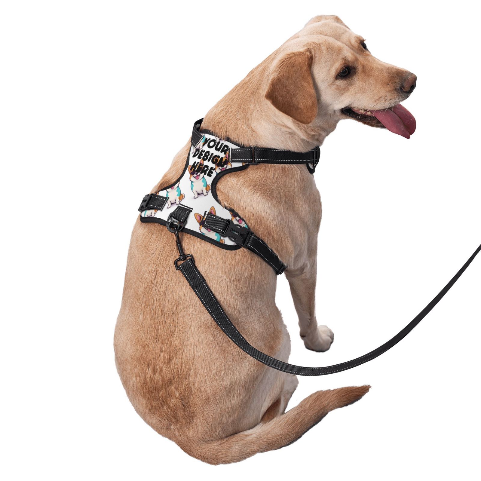 Pet Harness