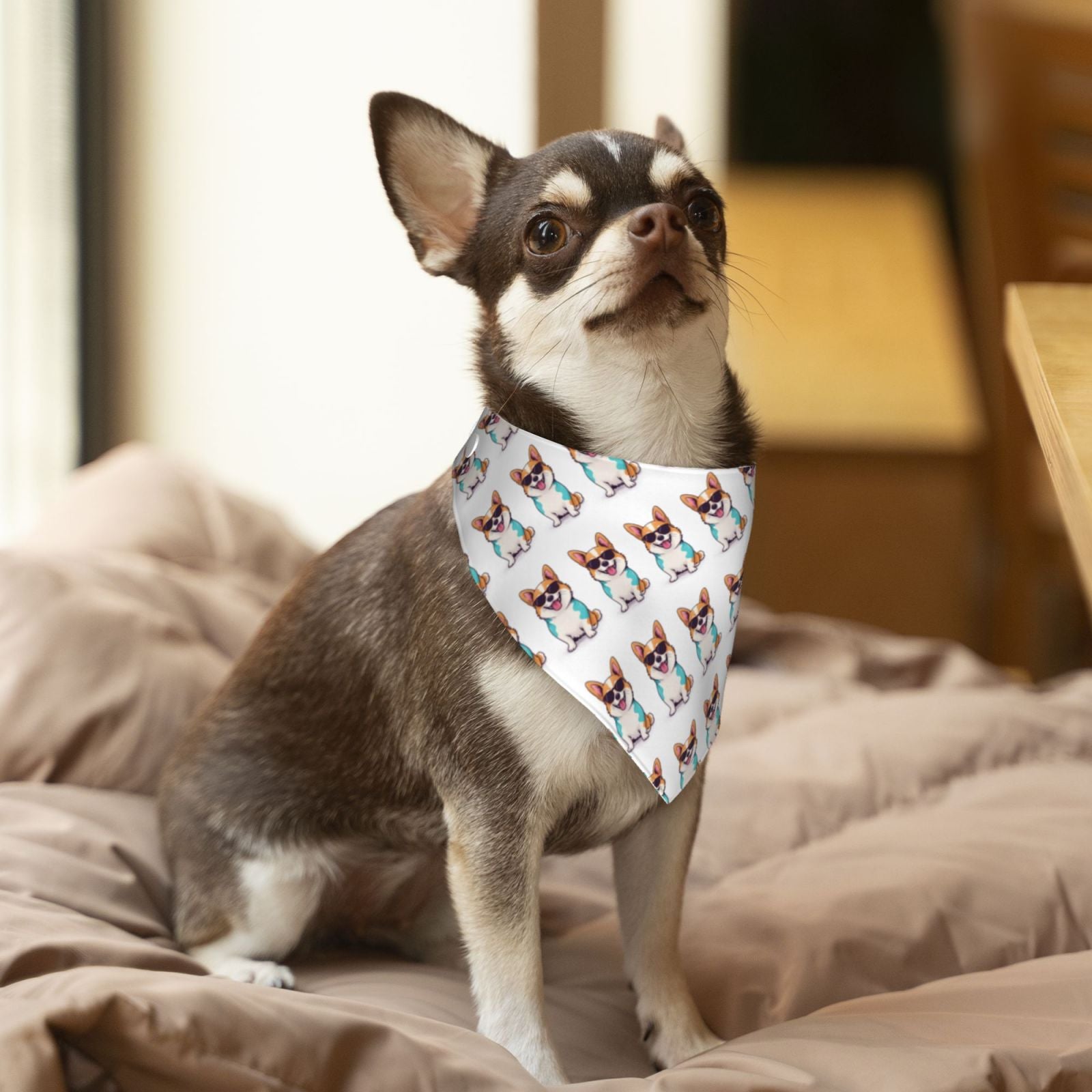 Pet Bandana