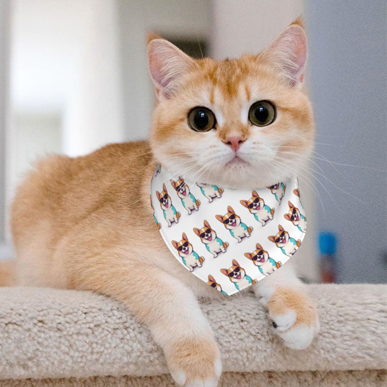 Pet Bandana