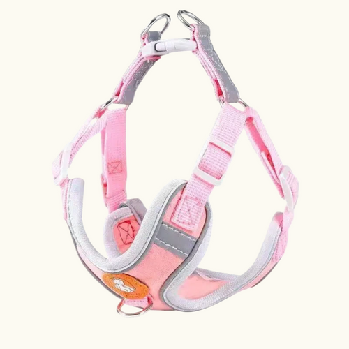 Cherry Pink Suede Harness