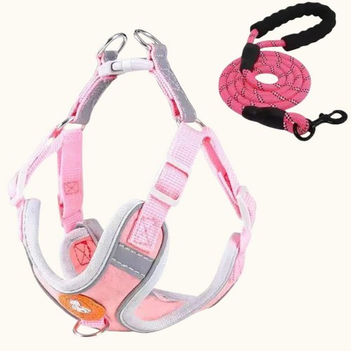 Cherry Pink Suede Harness