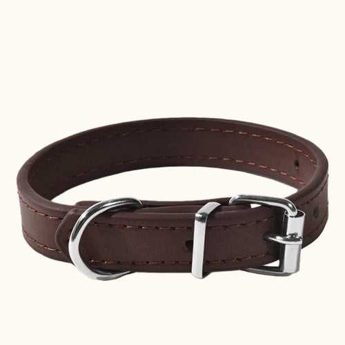 Chocolate Brown Pet Collar