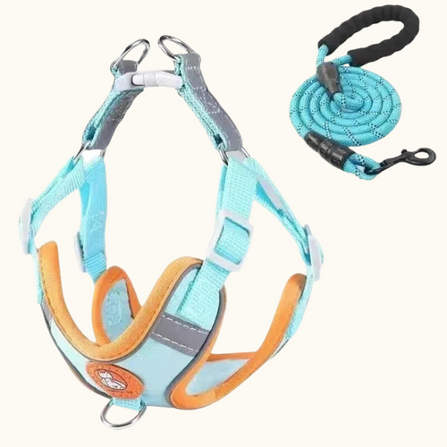 Coral Blue Suede Harness