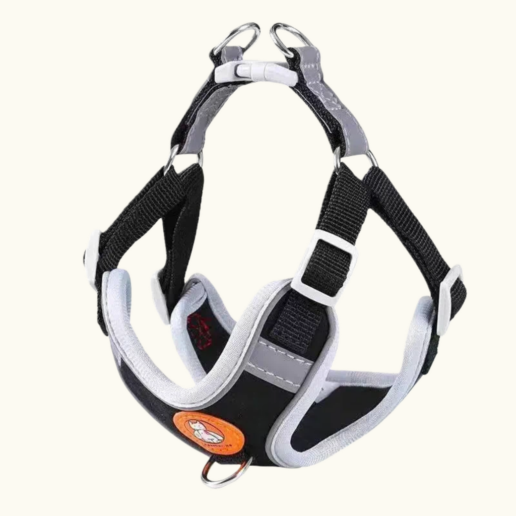 Raven Black Suede Harness