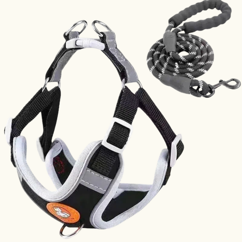 Raven Black Suede Harness