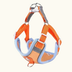 Sunset Orange Suede Harness
