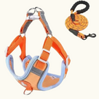 Sunset Orange Suede Harness